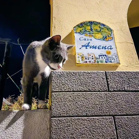 Σπίτι διακοπών Casa Amena Con Ampio Terrazzo E Giardino Λίπαρι
