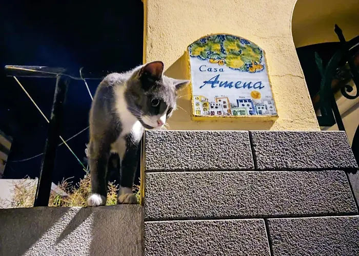 Holiday home Casa Amena Con Ampio Terrazzo E Giardino Lipari (Isola Lipari)